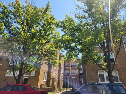 3a-4753 N Monticello Avenue, Chicago, IL, 60625 | Card Image