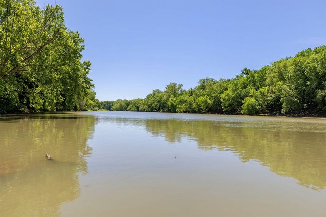 Water view with a forest | Image 35