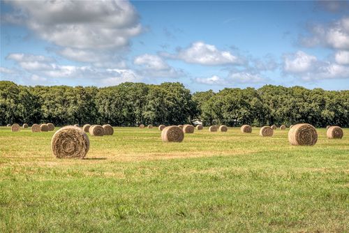 3812 County Road 120, Wills Point, TX, 75169-8746 | Card Image