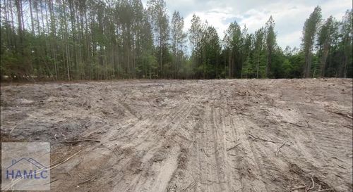 1 Fire Tower Rd Se, Ludowici, GA, 31316-3820 | Card Image