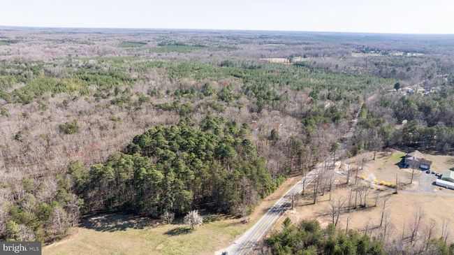 4669 Partlow Rd, Home with 0 bedrooms, 0 bathrooms and null parking in PARTLOW VA | Image 16