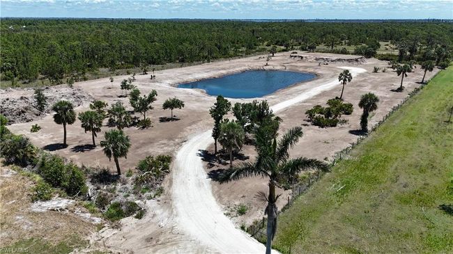 Bird's eye view of a forest and a nearby body of water | Image 8
