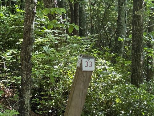 Lot 33 Fodder Creek Mill Dr, Hiawassee, GA, 30546 | Card Image