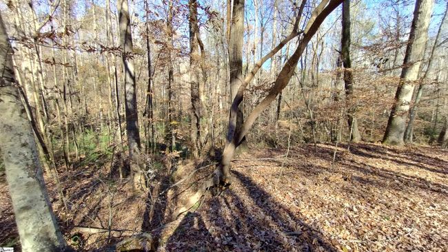 00A Sullivan Rd, Home with 0 bedrooms, 0 bathrooms and null parking in Laurens SC | Image 9
