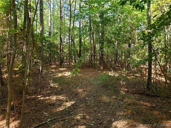 0 Potato Neck Rd, Home with 0 bedrooms, 0 bathrooms and null parking in Port Haywood VA | Image 21