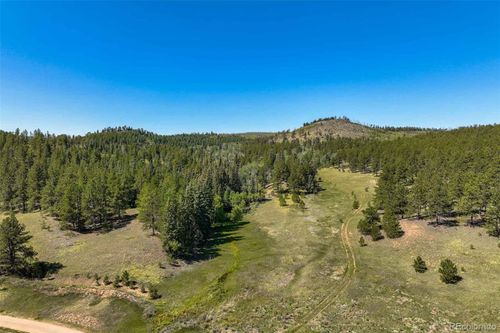 11068 Trail Creek Rd, Divide, CO, 80814 | Card Image