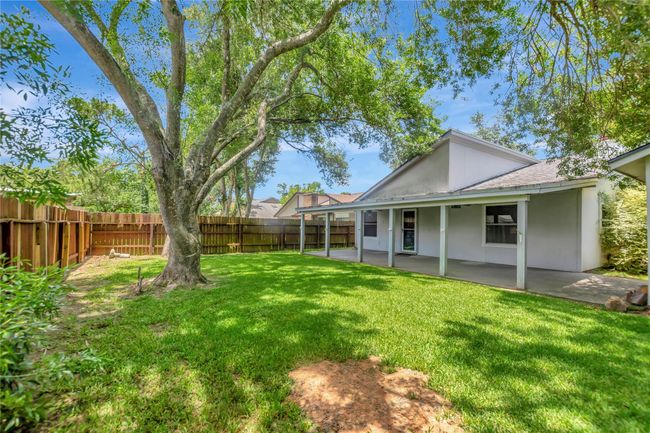 This backyard is great for family entertainment | Image 19