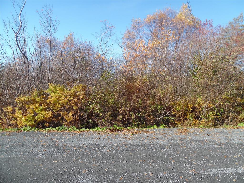 Land in Clarenville 3