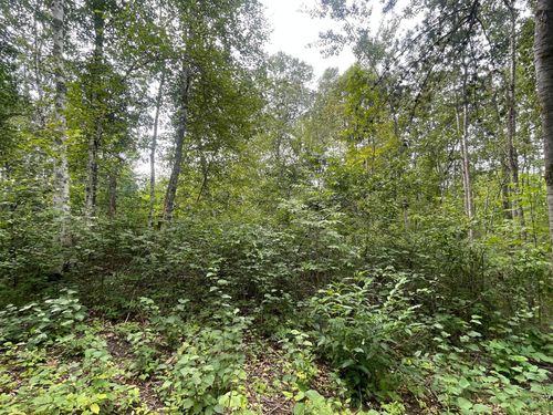 Lot 1 Patriot Ave, Pequot Lakes, MN, 56472 | Card Image