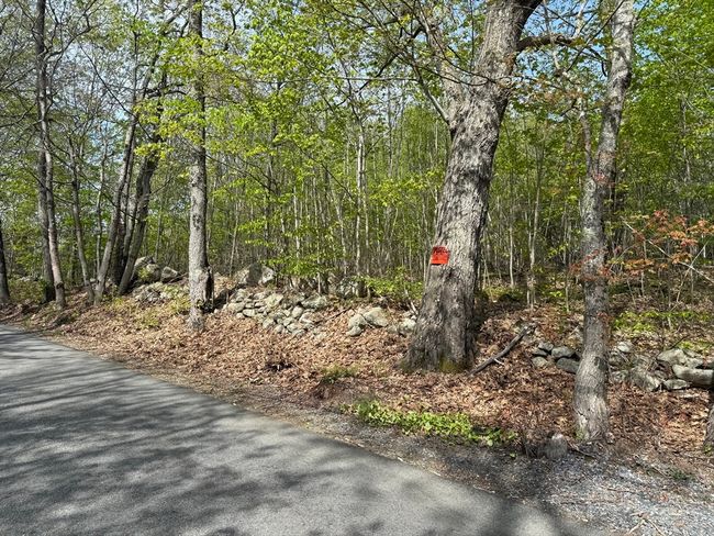 Lot 0 Old Westminster Rd, Home with 0 bedrooms, 0 bathrooms and null parking in Hubbardston MA | Image 4