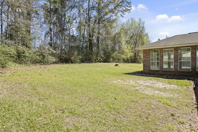 Backyard | Image 28