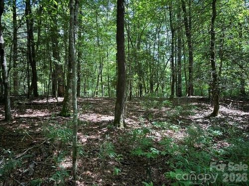 TBD Blossom Rd, Brevard, NC, 28712 | Card Image