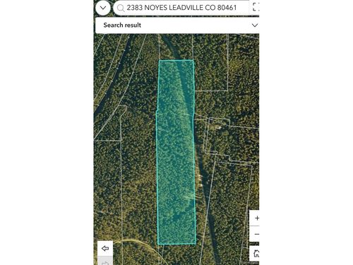 2383 Noyes, Leadville, CO, 80461 | Card Image