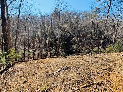 2.49 Ac Mountain Tops Cir, Blue Ridge, GA, 30513 | Card Image