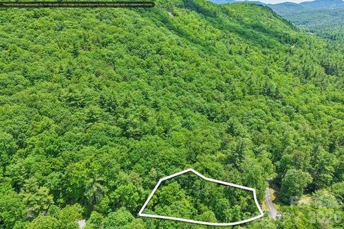 11 Magnolia Branch Dr, Zirconia, NC, 28790 | Card Image