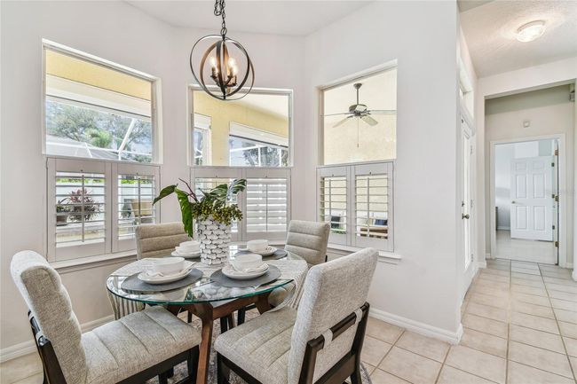 10203 Shadow Branch Dr, House other with 4 bedrooms, 3 bathrooms and null parking in TAMPA FL | Image 23