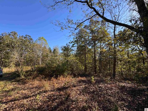 00 Ridge Rd, New Concord, KY, 42076 | Card Image