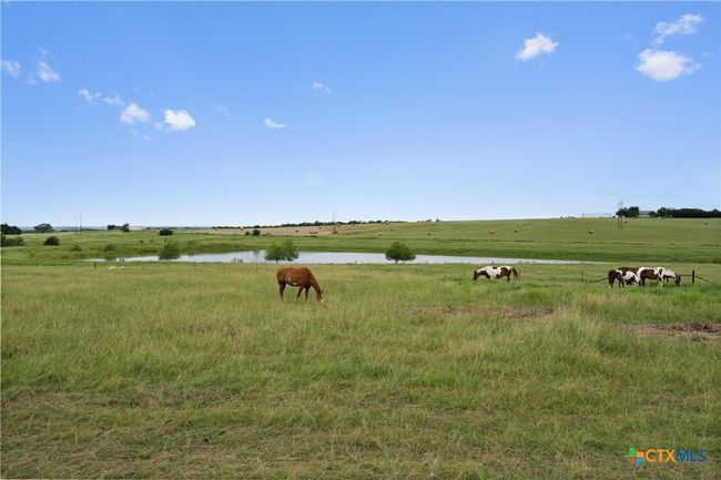 375 J B Vandiver Loop, House other with 5 bedrooms, 5 bathrooms and null parking in Moody TX | Image 8