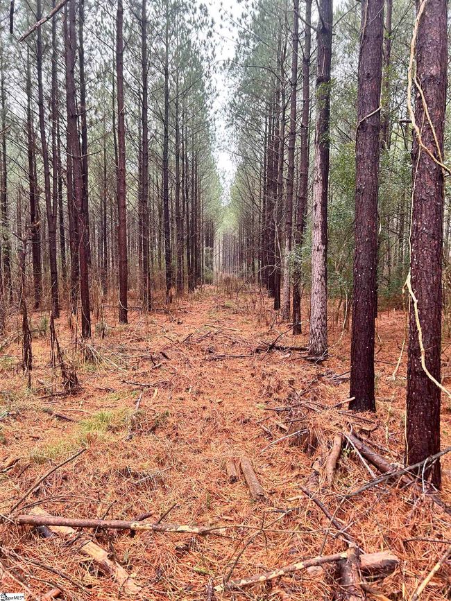 00 Columbia Rd, Home with 0 bedrooms, 0 bathrooms and null parking in Edgefield SC | Image 10