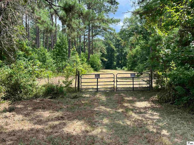 000 Highway 146, Home with 0 bedrooms, 0 bathrooms and null parking in Ruston LA | Image 11