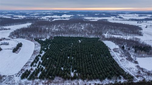 0 6 1/2 Ave, Dallas, WI, 54733 | Card Image