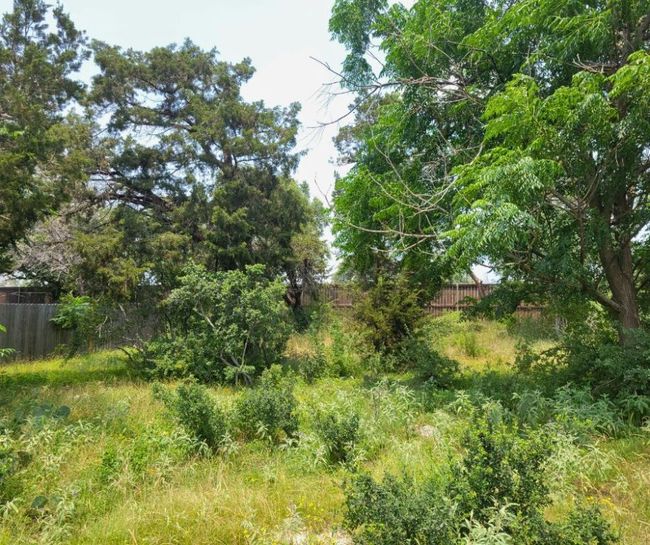 View of trees | Image 6