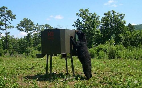 11222 Se Highway 2, Tuskahoma, OK, 74574-1395 | Card Image