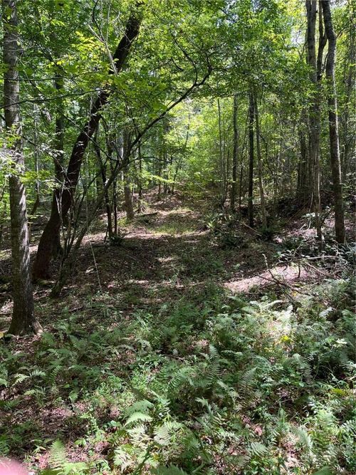 0 Georgia Highway 120, Tallapoosa, GA, 30176 | Card Image