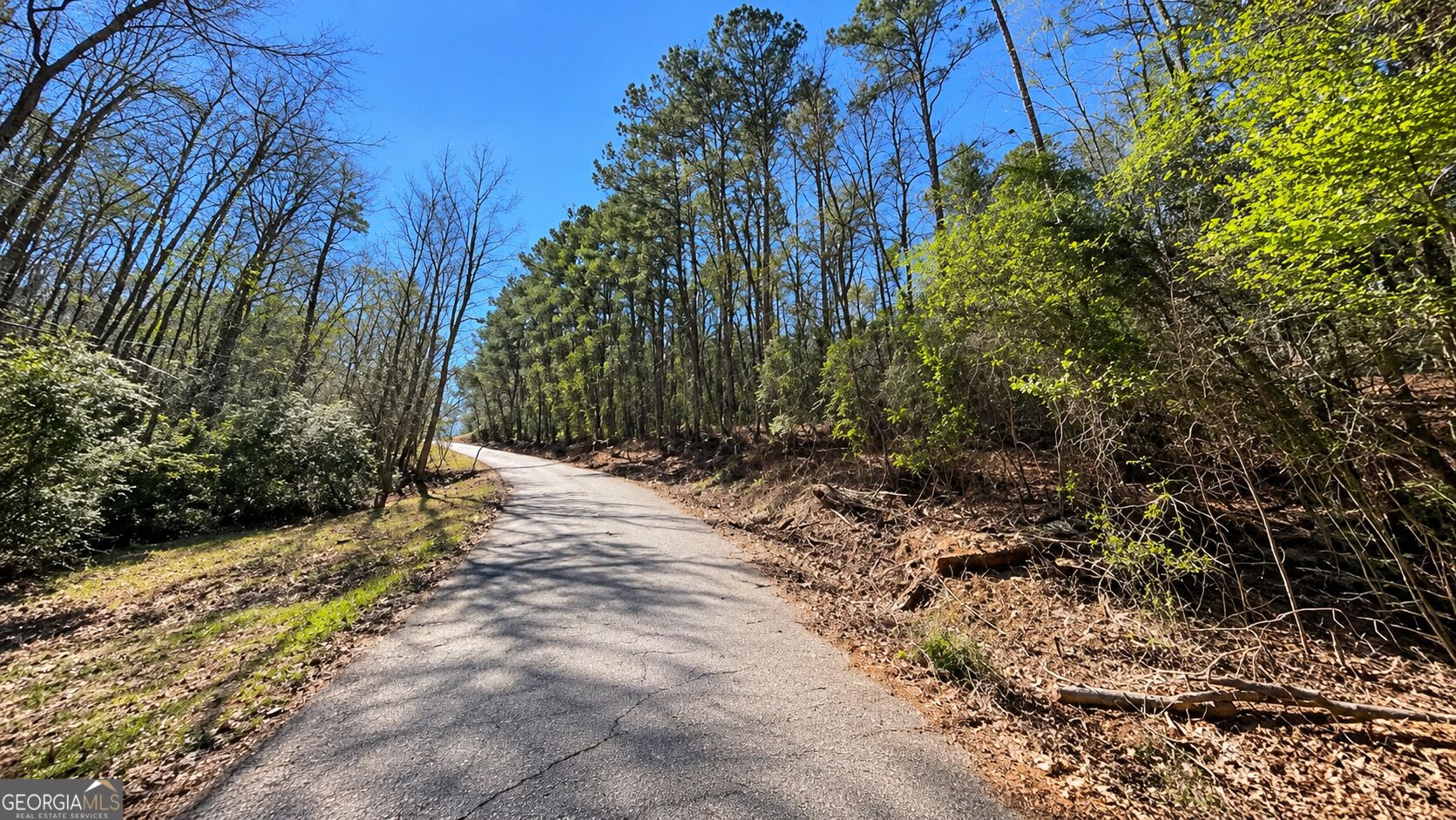 Land in Georgetown 4