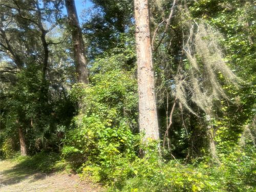 1215 Arredondo Grant Rd, DE LEON SPRINGS, FL, 32130-3719 | Card Image