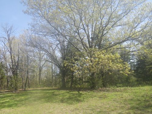 000 Longview Rd, Elk Creek, MO, 65464 | Card Image