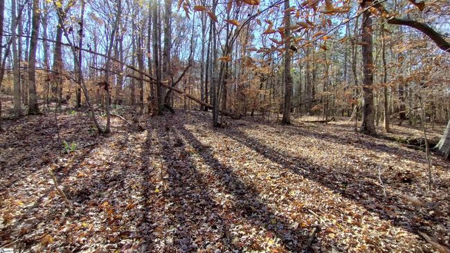 00A Sullivan Rd, Home with 0 bedrooms, 0 bathrooms and null parking in Laurens SC | Image 12