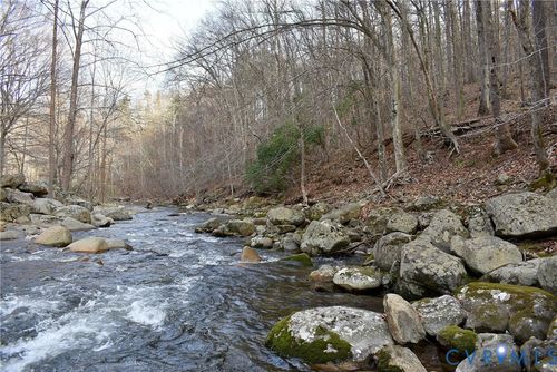 9623 Crabtree Falls Hwy, TYRO, VA, 22976-2018 | Card Image