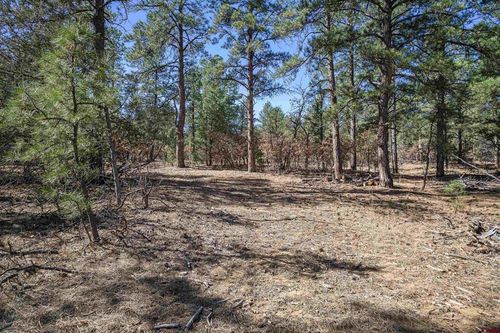 17990 King Rd, Weston, CO, 81091 | Card Image