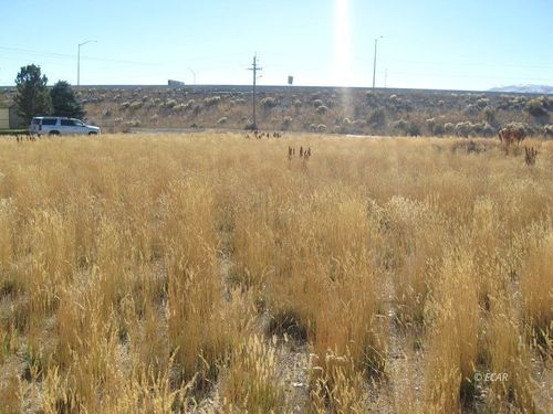 tbd Dover St, Wells, NV, 89835 | Card Image