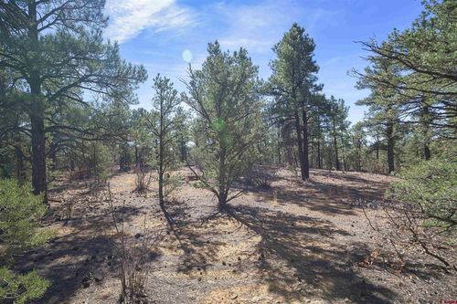 TBD Rancho La Garita Lot 1129, Weston, CO, 81082 | Card Image