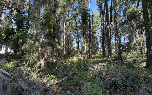 899 Se Evergreen Dr, Lake City, FL, 32025-6801 | Card Image