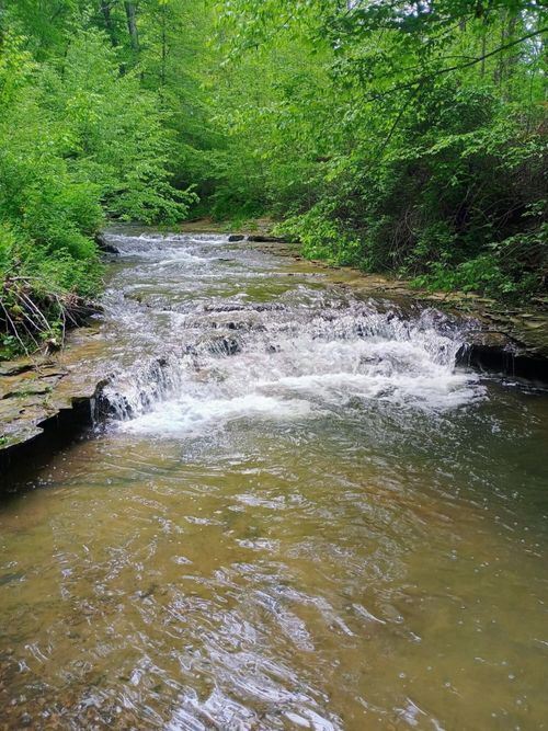 495 W Clear Fork Rd, Eubank, KY, 42567 | Card Image