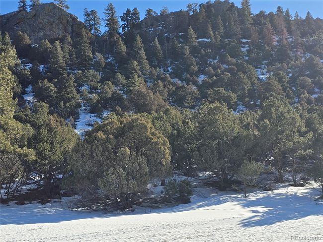 824 Shoshone Dr, Home with 0 bedrooms, 0 bathrooms and null parking in Canon City CO | Image 7