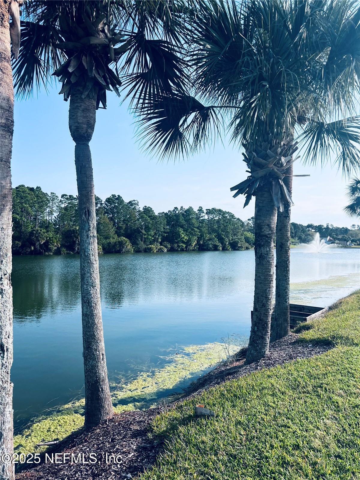 Land in Palm Coast 3