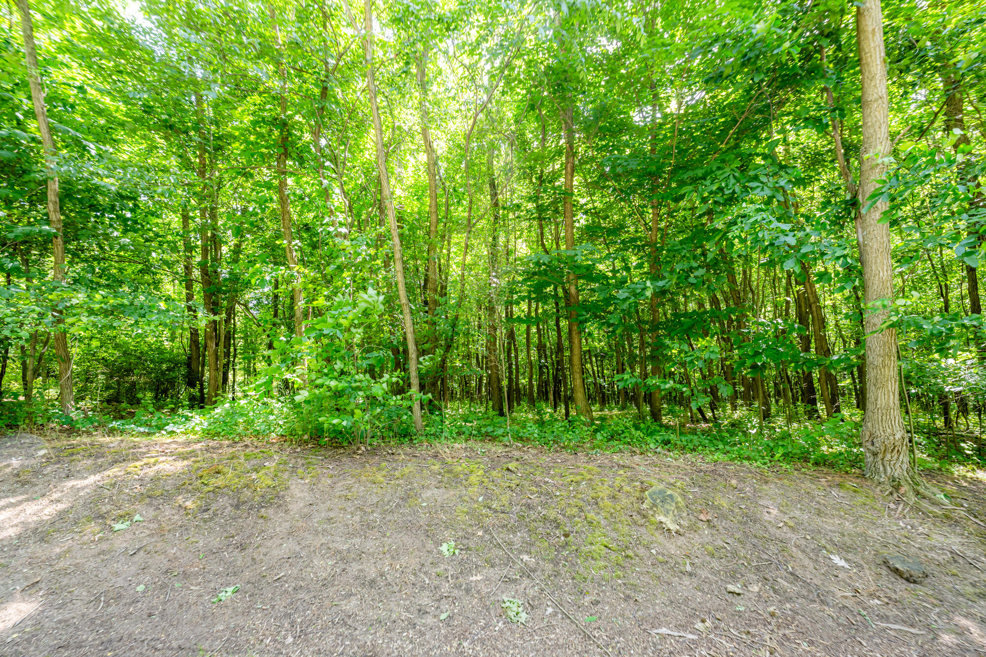 Land in Benton Harbor 5