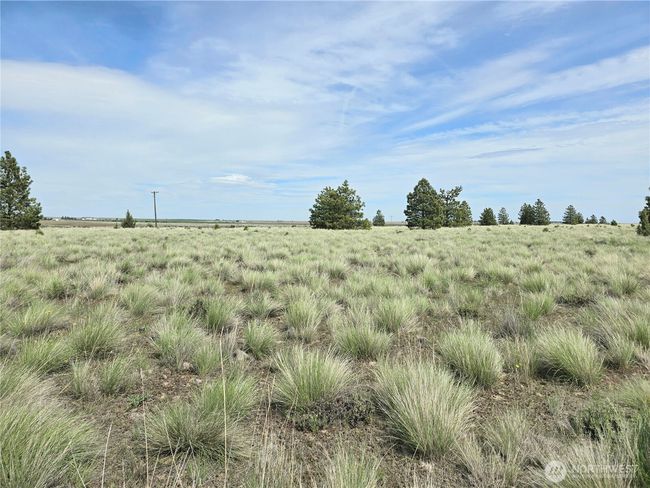 226 Duree Rd, Home with 0 bedrooms, 0 bathrooms and null parking in Bickleton WA | Image 19