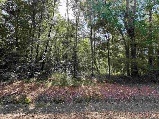 23483 Heritage Acres Ln, Home with 0 bedrooms, 0 bathrooms and null parking in Robert LA | Image 22