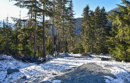 9325 Warbler Way, Whistler, BC, V8E1M1 | Card Image