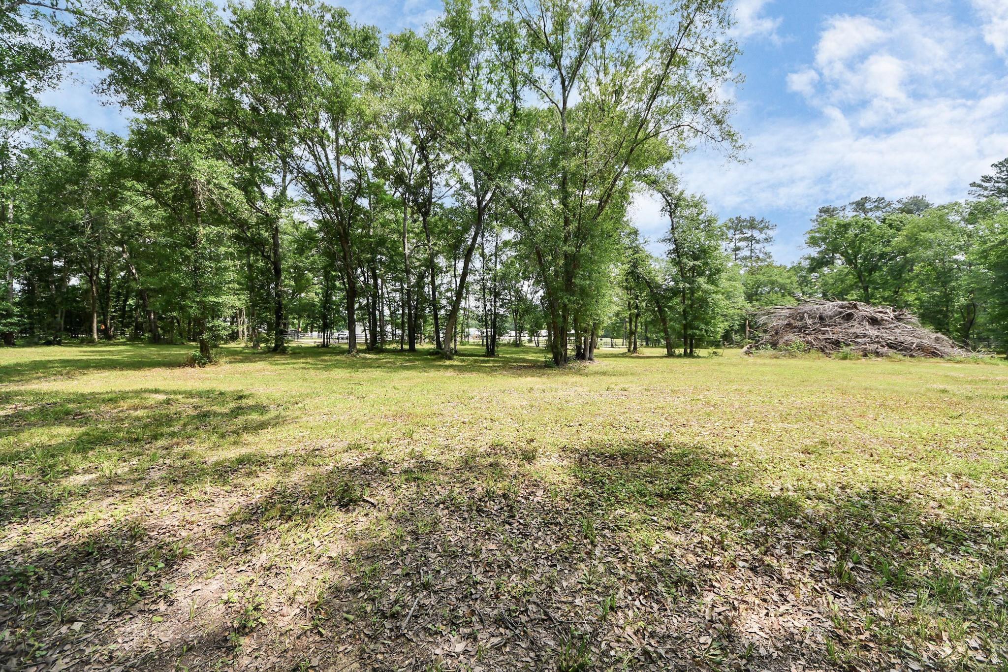 Land in Montgomery 5