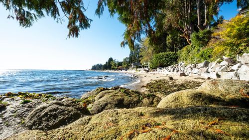 2909 Latimer Road, Roberts Creek, BC, V0N2W4 | Card Image
