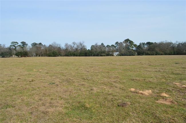 TBD000 Wiggins Rd, Home with 0 bedrooms, 0 bathrooms and null parking in Conroe TX | Image 5