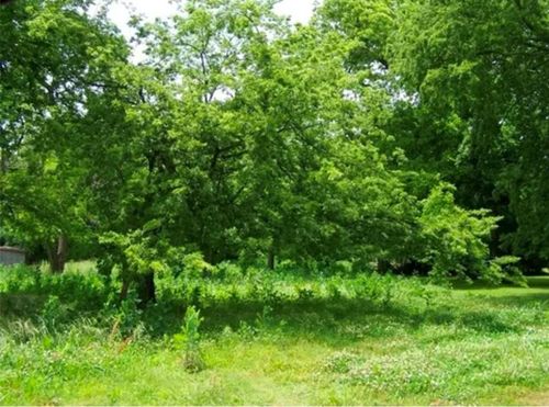 221 N Cedar St, Pauls Valley, OK, 73075-2806 | Card Image