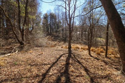 Lot 65 Southern View Trail, Home with 0 bedrooms, 0 bathrooms and null parking in Fancy Gap VA | Image 1