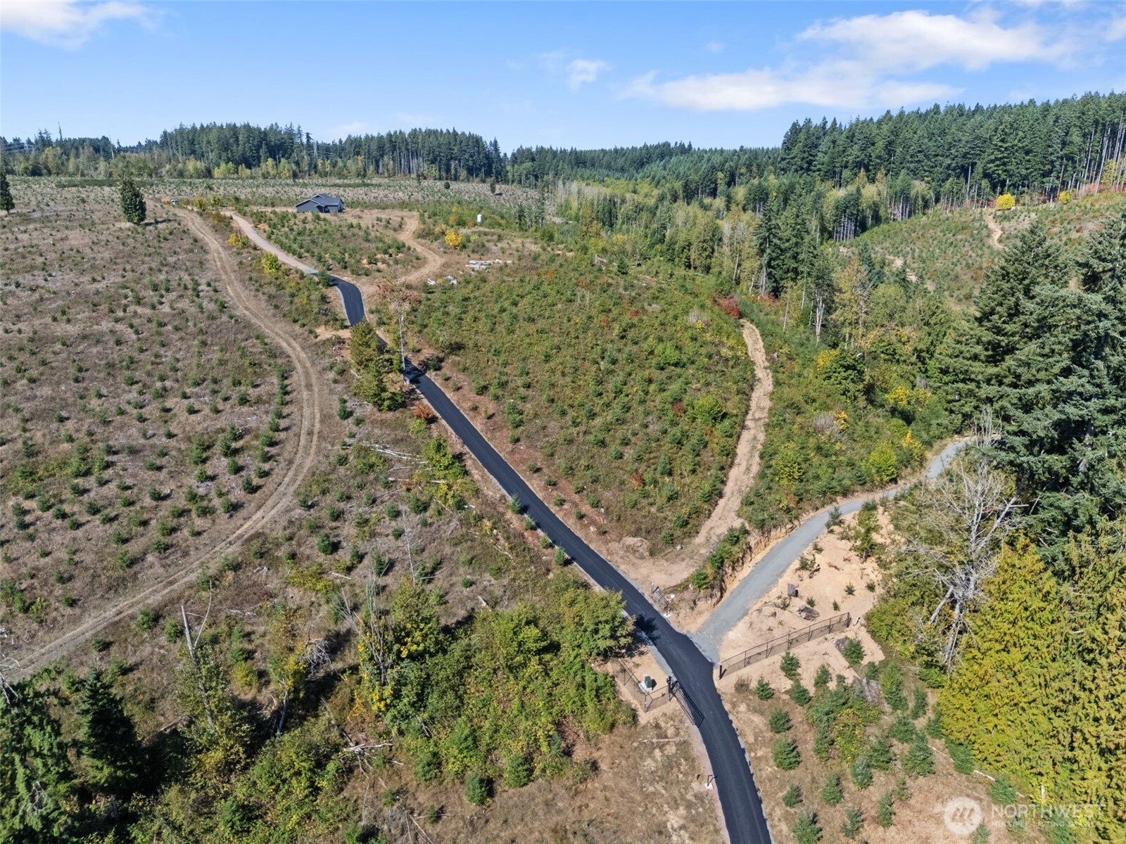 Land in Chehalis 5